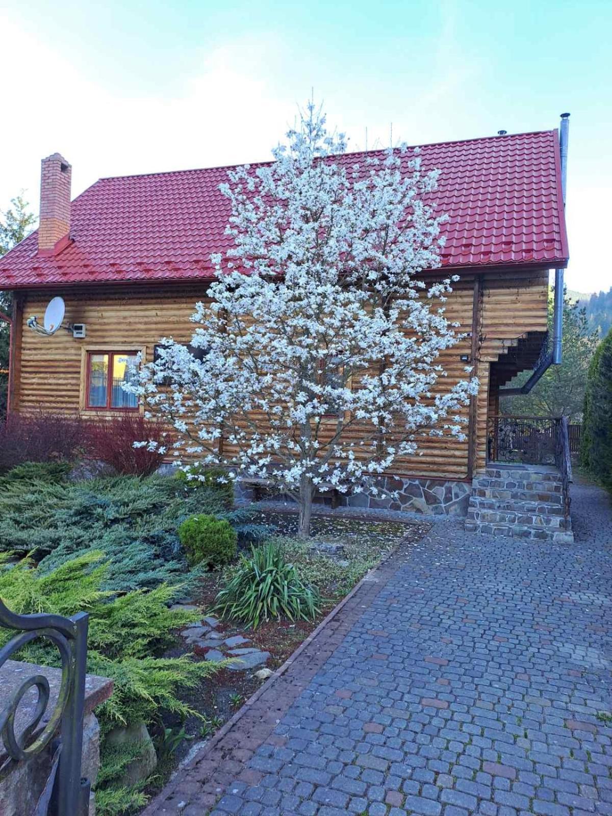 Magnolia Villa Tatariv Exterior photo